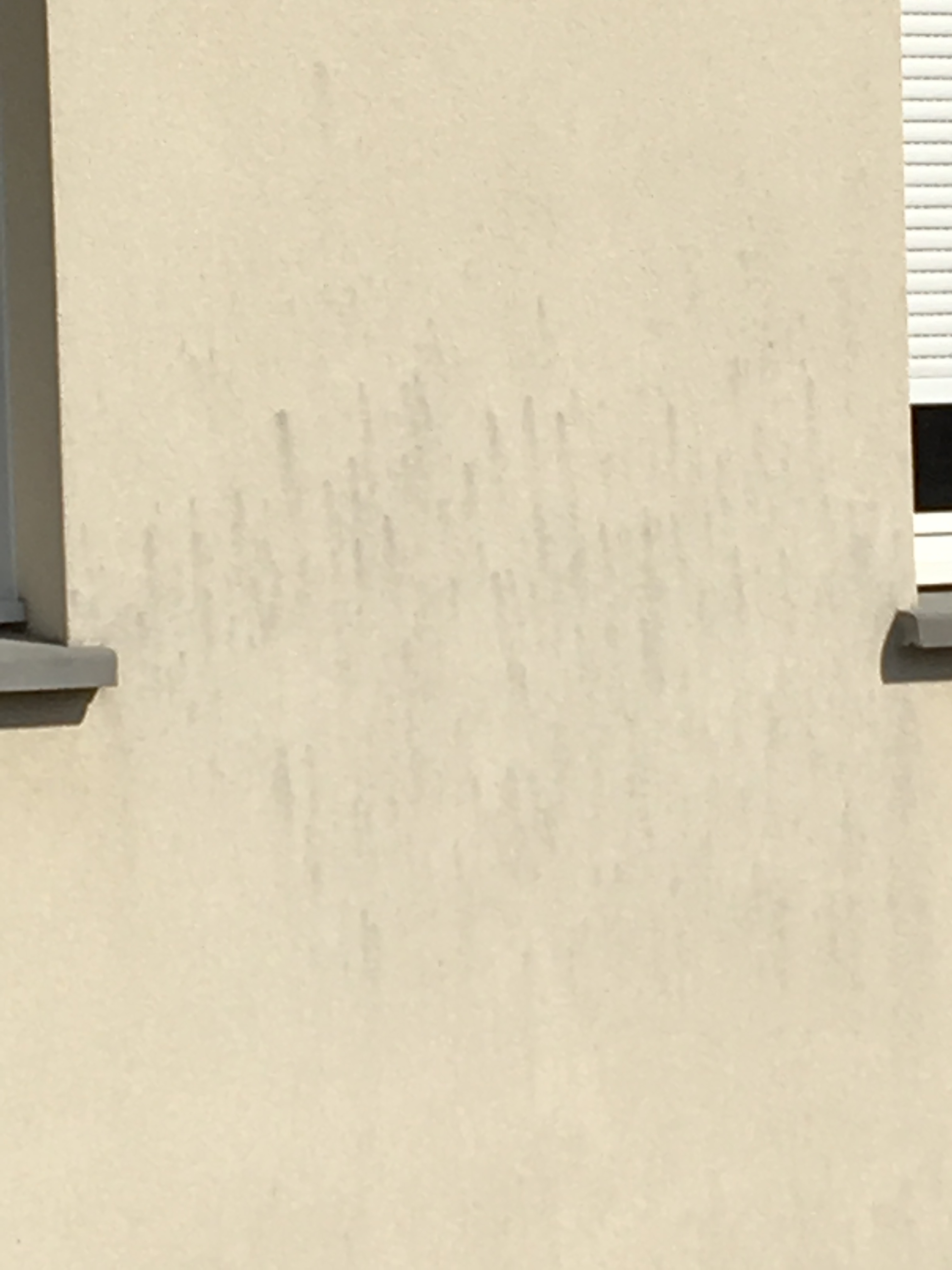 Anti mousse nettoyant pour mur en crépi